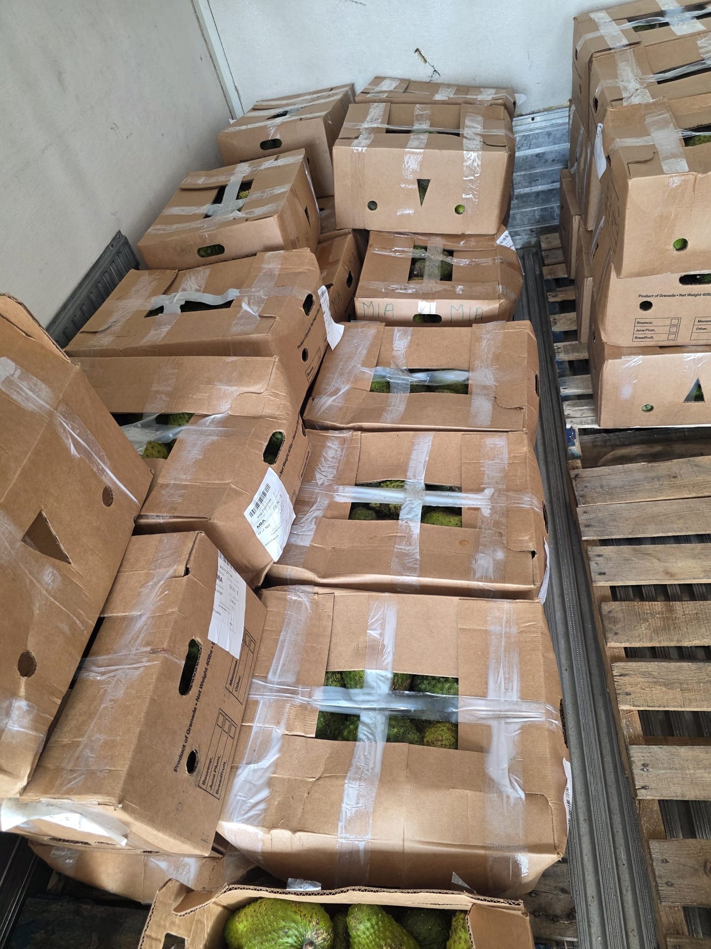 40lb Bulk Organic Soursop Fruit – Fresh Wholesale Tropical Produce