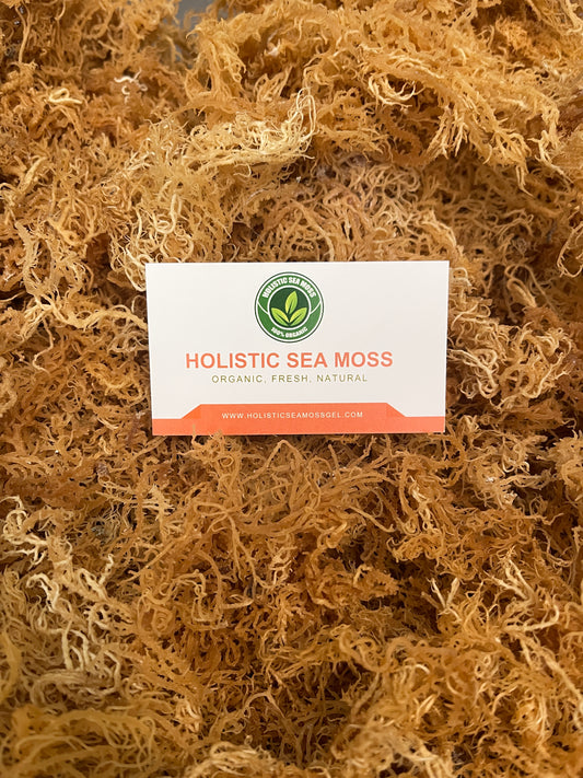 Wildcrafted Dried Golden Sea Moss – 4oz | 100% Organic Superfood for Immunity & Wellness