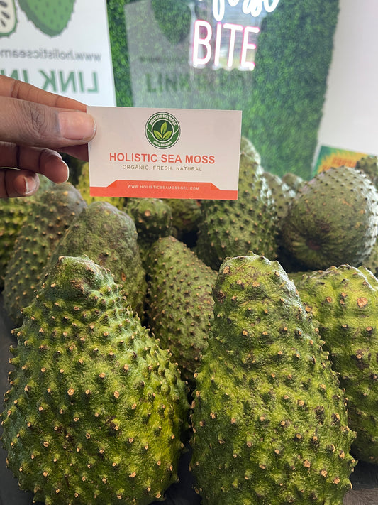 Fresh Organic Soursop Fruit – Nutrient-Rich & Exotic Superfruit - $18 per lb